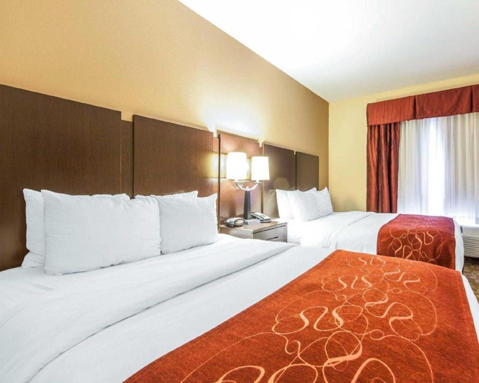 Comfort Suites Ρώμη Εξωτερικό φωτογραφία