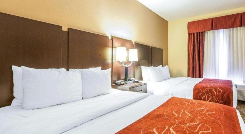 Comfort Suites Ρώμη Εξωτερικό φωτογραφία